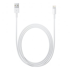 Usb  Apple Lightning to USB Cable (MD818Z/MA) Foxconn 1m