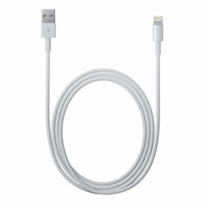 Usb  Apple Lightning to USB Cable (MD819Z/MA) Foxconn 2m
