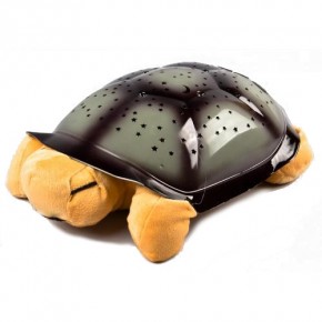  BabyFlip Turtle 