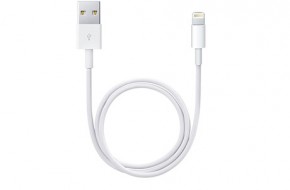  Apple Lightning to USB Cable White (0,5m)