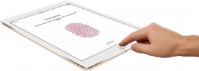  Apple A1566 iPad Air 2 Wi-Fi 32Gb (MNV72TU/A) Gold 4