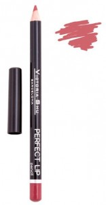    Victoria Shu Perfect Lip 145