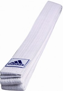    Adidas BT Club 320  White (adiB220)