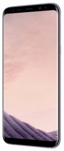  Samsung Galaxy S8 64GB Gray (SM-G950FZVD) 3