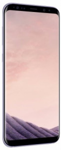  Samsung Galaxy S8 64GB Gray (SM-G950FZVD) 4