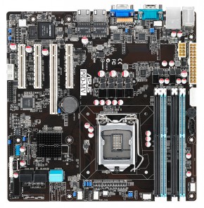   Asus P9D-MV (s1150, Intel 222, PCI-Ex16)
