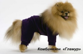    Pet Fashion  M