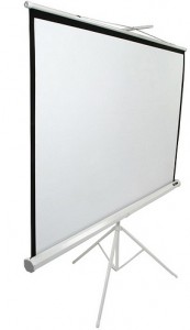 Elite Screens T119NWS1