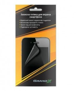   Grand for Fly FS401 3