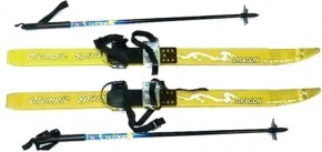    Skiing Snowscape 110 (TI-18-83-110)