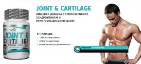      BioTech Joint & Cartilage 60  3