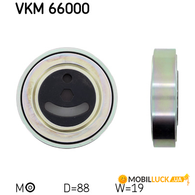   SKF   (VKM 66000)