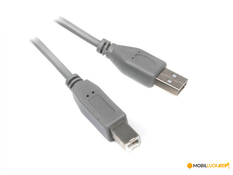  Maxxter (U-AMBM-6G) USB 2.0 AM - USB 2.0 BM, , 1.8