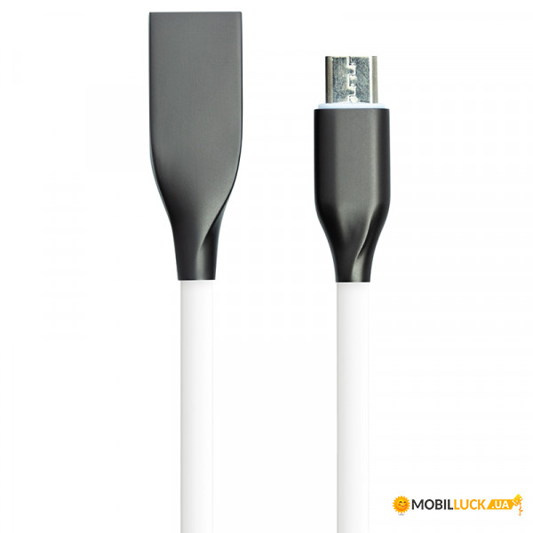   PowerPlant USB - Micro USB 2   (CA910731)