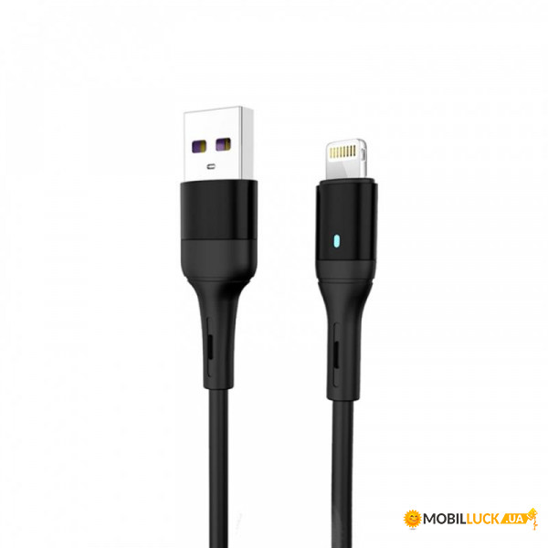  SkyDolphin S06L LED Smart Power USB - Lightning 1, Black (USB-000554)
