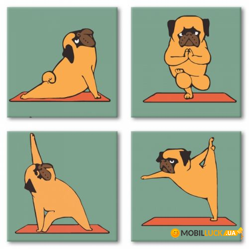     : Yoga-dog ?? (KNP012)