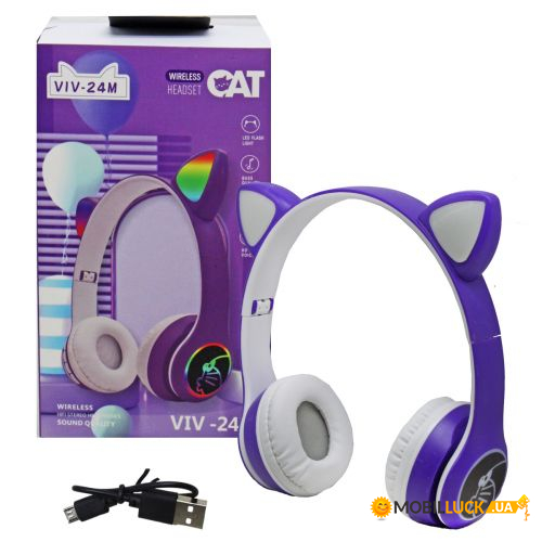   Cat ()  (VIV-24M)