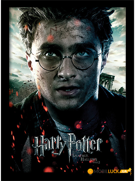    Harry Potter /   (Deathly Hallows Part 2 - Harry)