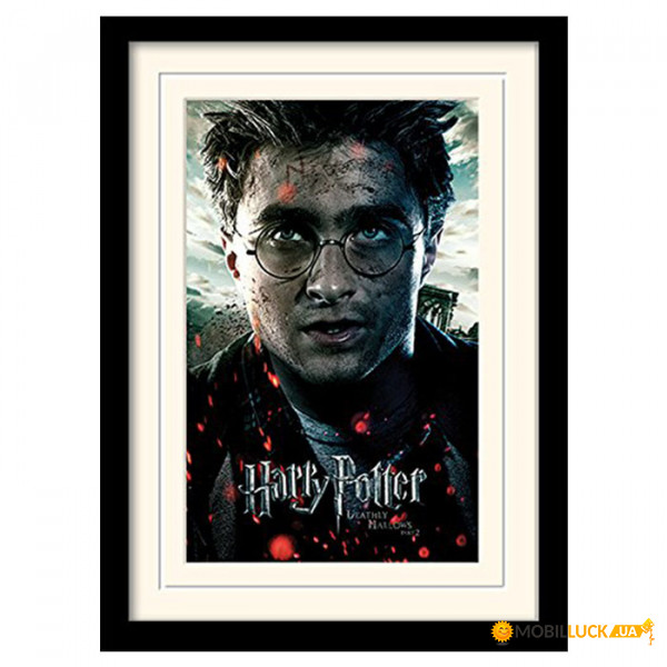    Harry Potter (Deathly Hallows Part 2 - Harry)