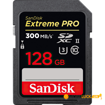   SanDisk 128GB SDXC (SDSDXDK-128G-GN4IN)