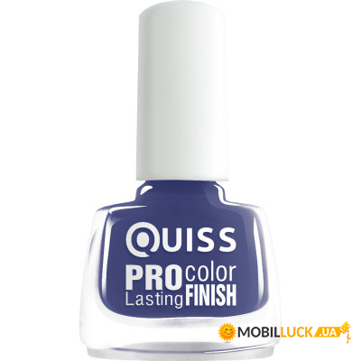    Quiss Pro Color Lasting Finish 026 (4823082013647)