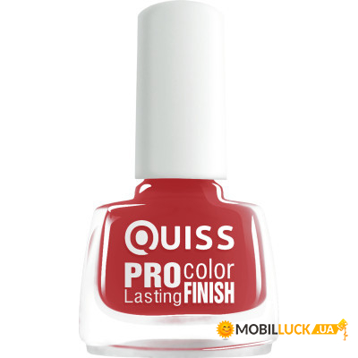    Quiss Pro Color Lasting Finish 055 (4823082013937)