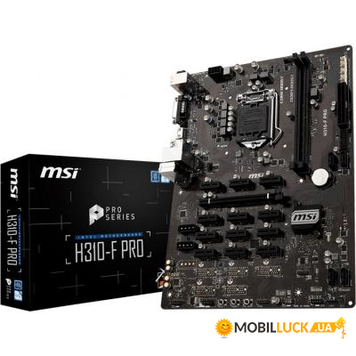   MSI H310-F Pro