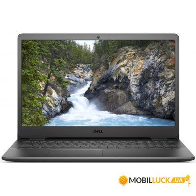  Dell Vostro 3500 (N3001VN3500UA_WP11)