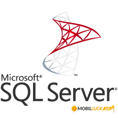    Microsoft SQL Server 2019 Enterprise Core - 2 Core License Pack Charit (DG7GMGF0FKZV_0001CHR)