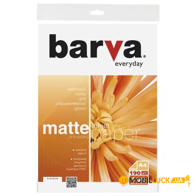  BARVA A4 Everyday matted 190 100 (IP-AE190-292)