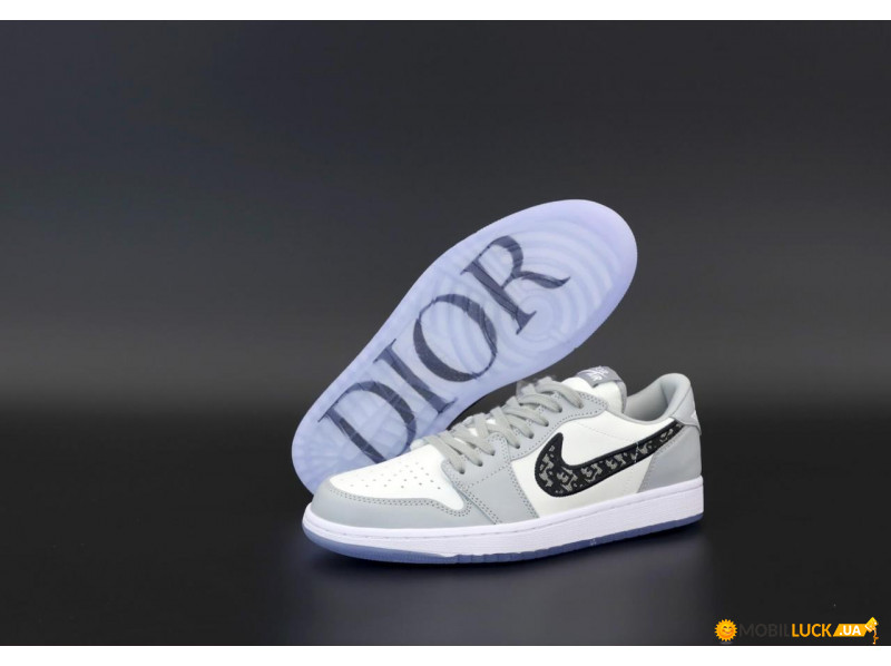 Basket dior nike hot sale