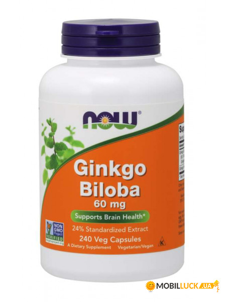   NOW Ginkgo Biloba 60 mg Veg Capsules 240  (4384301723)