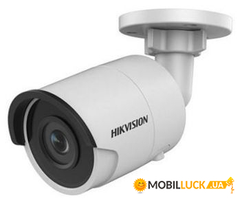 IP- Hikvision DS-2CD2043G0-I (6 )
