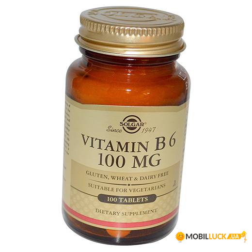  Solgar Vitamin B6 100 100  (36313132)