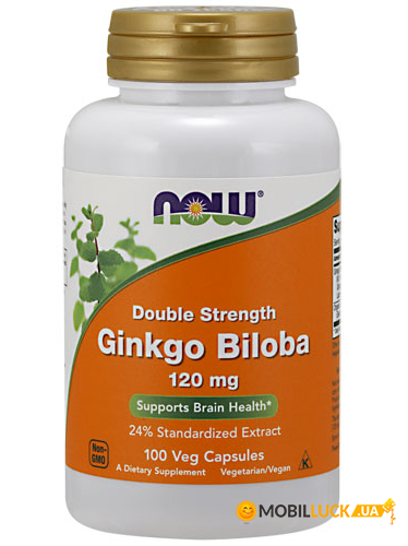  NOW Ginkgo Biloba Double Strength 120 mg 100   