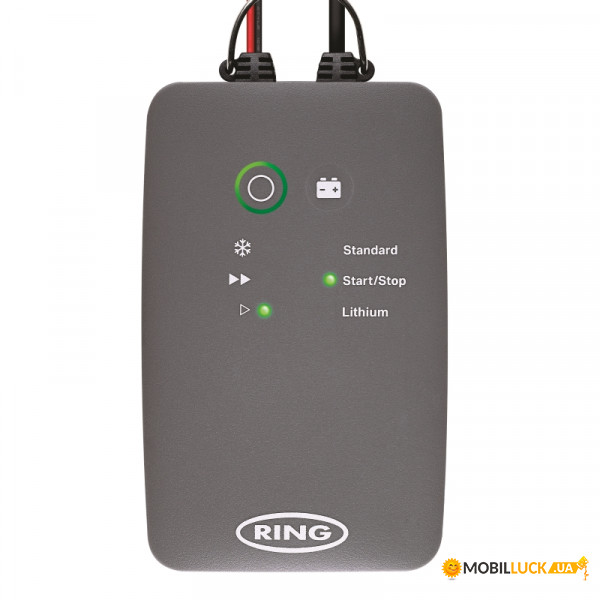   RING RESC706 6A Smart Battery Charger