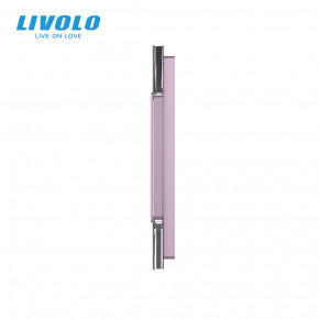    Livolo 2    (2-0)   (VL-C7-C2/SR-17) 4