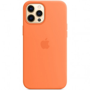    iPhone 12 / iPhone 12 Pro with magsafe and splash Kumquat 3