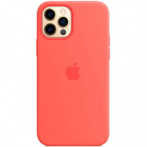    iPhone 12 / iPhone 12 Pro with magsafe and splash Pink Citrus 3