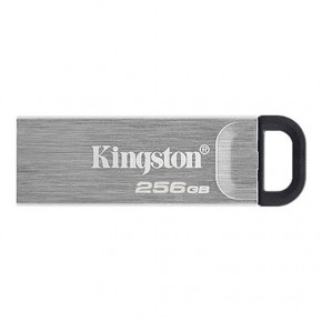 - 3.2 256GB Kingston DataTraveler Kyson Silver/Black (DTKN/256GB)