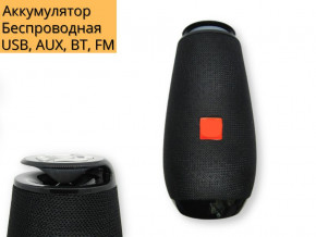   XPRO TG-508 10 USB, AUX, FM, Bluetooth // (TG-508) 3