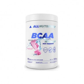  All Nutrition BCAA Instant Max Support 500 g bubble gum