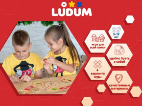   Ludum    (LG2045-07) 6