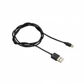  Canyon USB - Lightning 1 Black (CNS-MFICAB01B)