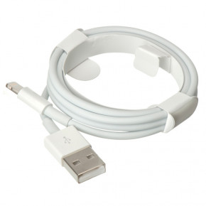   Foxconn Apple iPhone USB to Lightning AAA grade 1m (.) 