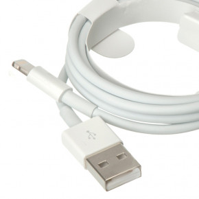   Foxconn Apple iPhone USB to Lightning AAA grade 1m (.)  3