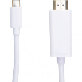   PowerPlant HDMI male - USB Type-C, 1.8   (CA910878)