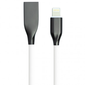   PowerPlant USB - Lightning 1   (CA910724)