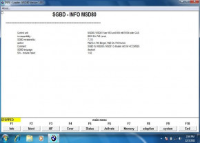      HDD 500    BMW INPA, Standard tools, SP-Daten, NCS Extert 7
