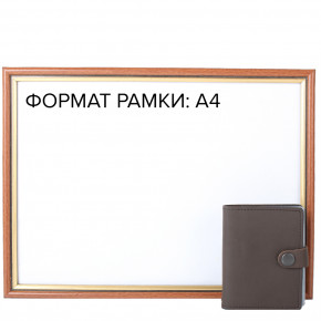    DNK Leather DNK-Cards-Kcol-F 8